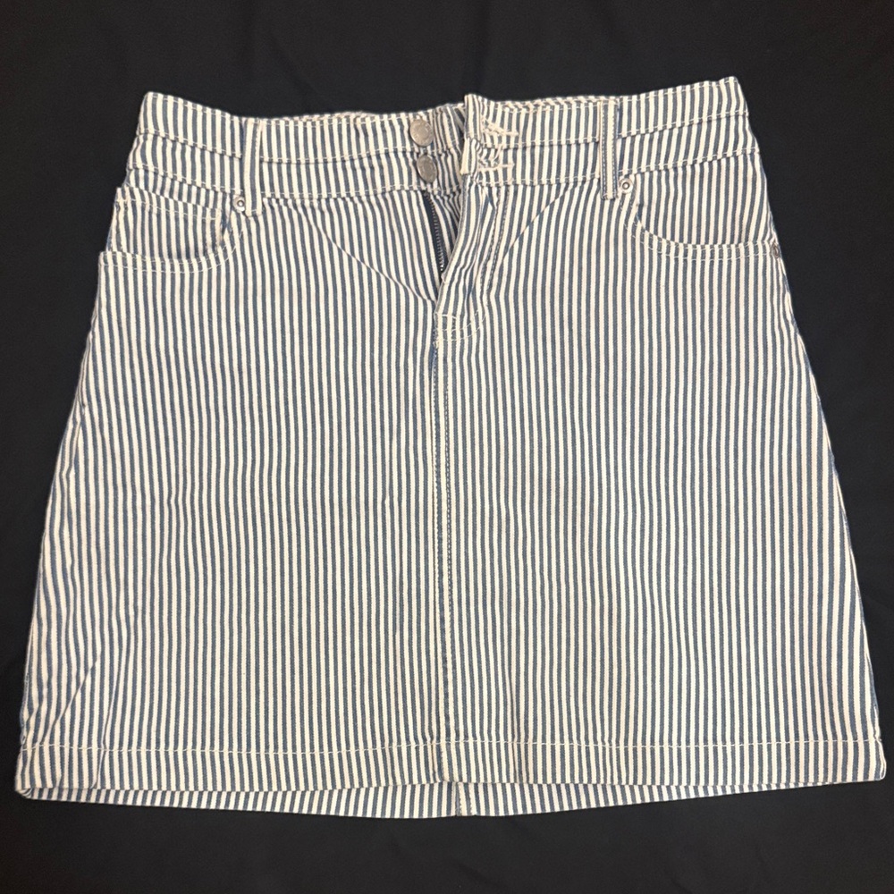 Striped Blue and White Women's Skirt